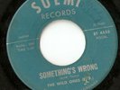 THE WILD ONES SOMETHINGS WRONG SUEMI EL PASO 1965 hear