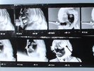 Beatles LP Let It Be Naked MINT 180g w/Booklet Bonus 45