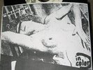 DIRTBOMBS Jolene 7
