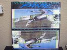 Widespread Panic Space Wrangler lp Landslide in shrink