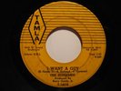 Motown Soul 45 SUPREMES on TAMLA I Want a Guy HEAR