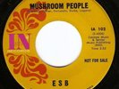 Psych Garage 45 ESB 