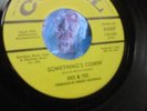 DEE & TEE Something's Comin' 1966 GARAGE PUNK 45 LISTEN