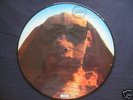 KISS - HOT IN THE SHADE  PICTURE DISC 10
