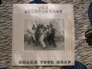 CHAPPARRALS Shake Your Head rare private boogie funk lp