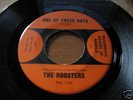 ROOSTERS ONE OF THESE DAYS 60'S KILLER GARAGE 45 HEAR