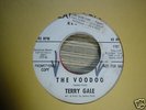 Terry Gale promo 7 The Voodoo /Just 15