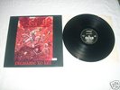 Kreator