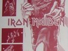 Iron Maiden Roskilde Live 2003 Rare RED Vinyl LP