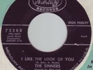 SINNERS I Like The Look Of You Mecury garage psych rare