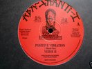 Aba Shanti - Positive Vibration -  12