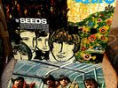 1967 Orig THE SEEDS   FUTURE  Psych Garage FLOWER POWER