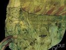OUT OF FOCUS - SAME   LP KRAUTROCK  RE
