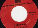 RADIO SPOT 45 RPM - 