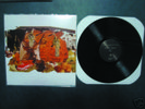 POCAHAUNTED Peyote Road LP MINT woodsist not not fun