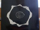 Epidermis – Genius of original force LP