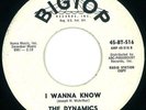 The Dynamics : RARE Northern Soul 45 on Bigtop