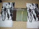 Sonic Youth Daydream Nation gatefold double Blast First