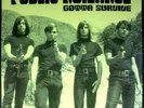 PUBLIC NUISANCE GOTTA SURVIVE RARE FREEKBEAT PSYCH 2LP