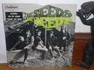 Rare PSYCH/GARAGE Rock LP THE SEEDS 1st MONO Pressing