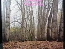Twink, Think Pink,  1970 LP, rare