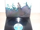 JOHN MARTYN THE TUMBLER LP 1968 ISLAND ILPS 9091 STEREO