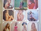 VA/YOGIRINO SHINOBIAI JAPAN 9LP BOX SET/SEXY NUDE COVER