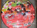 Yeah Yeah Yeahs Fever to Tell Picture Disc