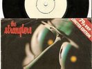STRANGLERS - WHO WANTS THE WORLD?.....WHITE LABEL