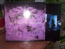 MAZZY STAR 'So Tonight That I Might See' Capitol '93 LP