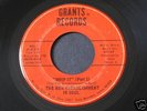 New Establishment in Soul   Whip It   Iowa deep funk 45