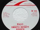 Embryo Infinity Rebirth 45 rare Ohio garage psych HEAR
