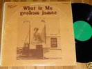 Private 1974 Acid Folk Psych LP GRAHAM JAMES What Is Me