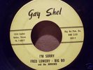 Fred Lowery -Big Bo & The Arrows /Gay Shel Records 202