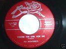 RARE DOO WOP 45- THE MONTEREYS