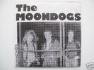 Moondogs -  She's nineteen, KBD Irish Punk Powerpop