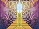 ACID MOTHERS TEMPLE & THE MELTING PARAISO U.F.O. Crysta