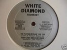 TERRY LEWIS & WILD FLOWER peoples message DISCO RAP 12