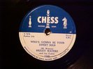 Muddy Waters Chess 1542 great (E+)