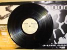 DOOM SELFISH SPLIT ANTI CIMEX DISCLOSE DISCHARGE AVSKUM