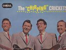 BUDDY HOLLY CHIRPING CRICKETS CORAL LP RECORD ROCK ROLL