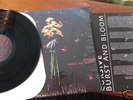 Cursive Burst and Bloom LP OOP SADDLE CREEK Bright eyes