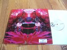 BLUE MOUNTAIN EAGLE White DJ Acid Archives Randy Fuller