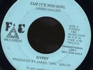 James Walsh Gypsy Band-Cuz It's You Girl -northern soul
