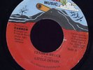 Little Devon Trash & Bruck JA 45 Listen