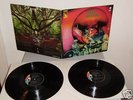AMON DÜÜL II  -  Tanz der Lemminge