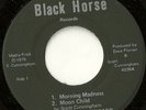Scott Cunningham Black Horse Rare Private Soul 45 HEAR