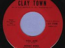Bobby Reed   You Are   US 45  original label