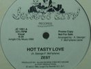PROMO* Zest - Hot Tasty Love *BOOGIE, ELECTRO* Scarce