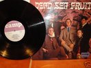 Dead Sea Fruit   s/t   UK CAMP 1967 V.RARE 'MONO'